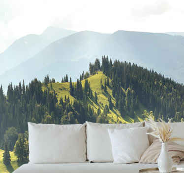 Green field and rocky Mountain wall mural - TenStickers