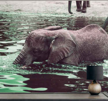 πόσιμο μωρό ελέφαντες αφρική τοιχογραφία - TenStickers