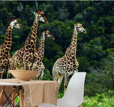 Fotomurale africano Giraffe della natura originale - TenStickers
