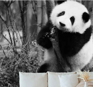 Ağaç üzerinde siyah beyaz panda afrika duvar kağıdı - TenStickers