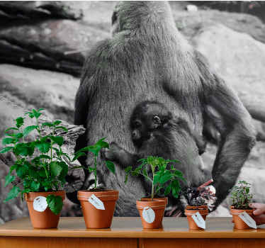 Mor og baby gorilla fototapet dyr - TenStickers