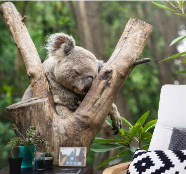 Adorable sleeping koala africa wall mural - TenStickers