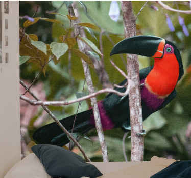 Güzel renkli kuş afrika duvar resmi - TenStickers