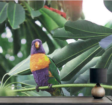 çok güzel renkli kuşlar afrika duvar kağıdı - TenStickers