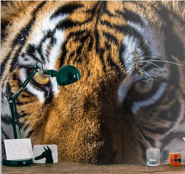 Güzel kaplan gözleri afrika duvar kağıdı - TenStickers