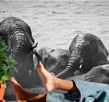 Crno -bijeli zidni mural za plivanje slonova - TenStickers