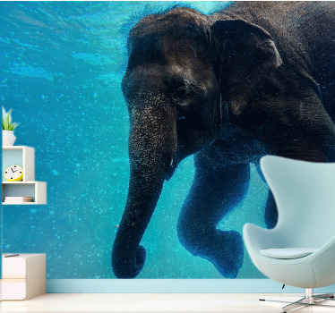 Vacker undervattens elefant afrika fototapet - Tenstickers