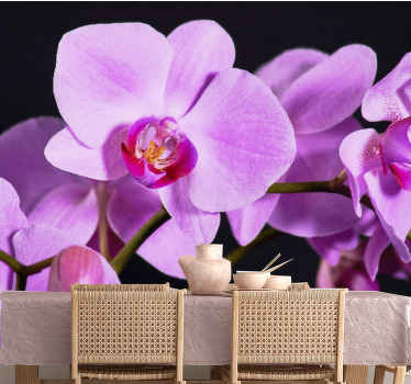 κλαδί μωβ τοιχογραφία ορχιδέων - TenStickers