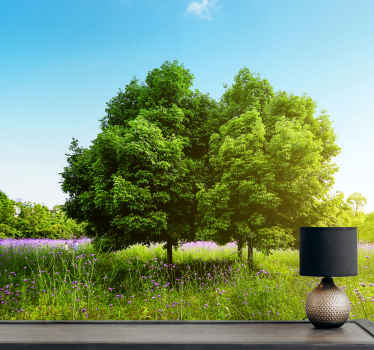 Fototapeta vysoký jarní strom příroda - TenStickers