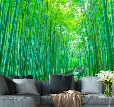 ライトバンブーパス自然壁画 - TENSTICKERS