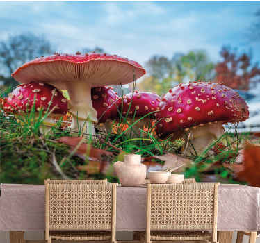 Fototapeta Červená houba příroda - TenStickers