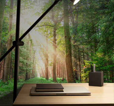 Fototapete Wald Sonnenstrahlen bäume - TenStickers