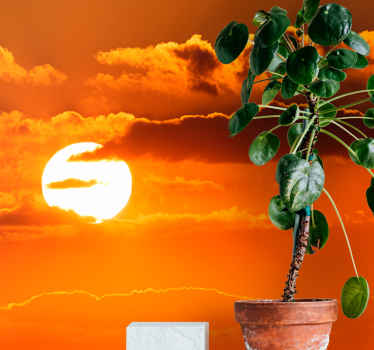 Fotomural cielo Fotografía estética de nubes y puestas de sol. - TenVinilo