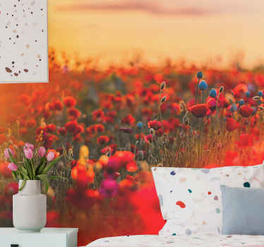 Spring field in sunset poppy wall mural - TenStickers