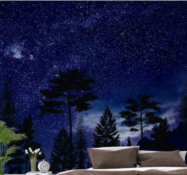 Colourful night sky galaxy Marriage Wall Murals - TenStickers