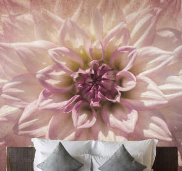 Delicate Pink Blossom flower wall mural - TenStickers