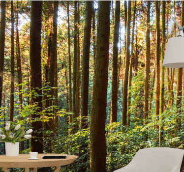 Trunchiuri de copaci înalte fototapet de pădure - TenStickers
