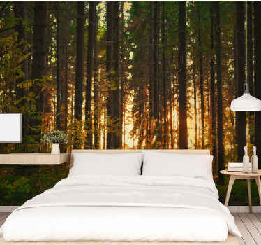 Forest trees with sun rays  Wall Mural - TenStickers