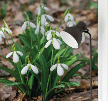 Vintergækker skovlandskab blomst fototapet - TenStickers