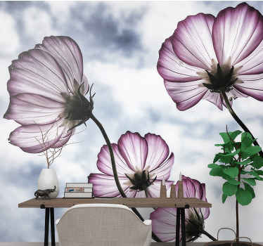 Elegant purple cosmos flower  wall mural - TenStickers
