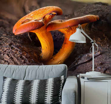 Foto behang bos paddenstoelen natuurtaferelen - TenStickers