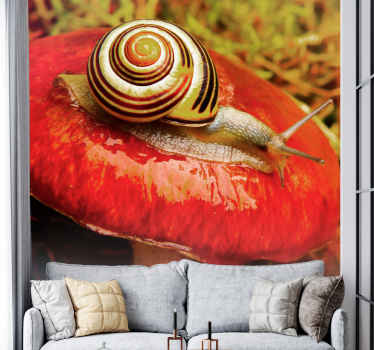 붉은 버섯 자연 벽 벽화에 달팽이 - TenStickers