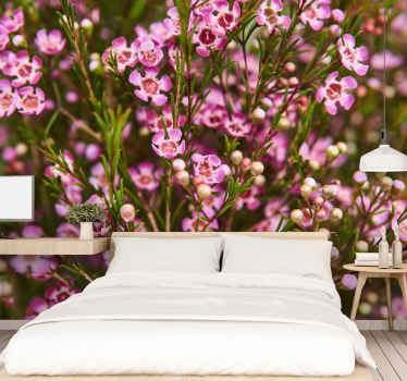 Geraldton Was native flower wall mural - TenStickers