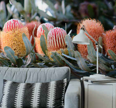 Banksia native Australian plants wall mural - TenStickers