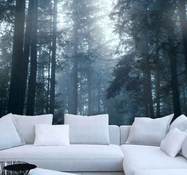 Fototapete Baum Bäume nebliger wald - TenStickers