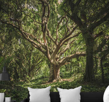 Fotomurais de paisagens árvores da floresta encantada - TenStickers