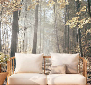 Papier peint nature La lumière du soleil dans la forêt - TenStickers