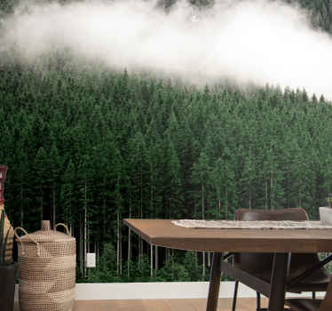 Borovice letecký pohled příroda fototapeta - TenStickers