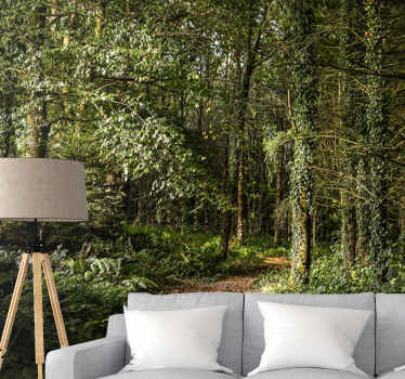 Fototapete Natur Grüner weg im wald - TenStickers