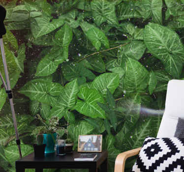 Fototapete Wald Schöne sonnige grüne blätter - TenStickers