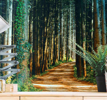 아름다운 자연 경로 나무 벽화 - TenStickers