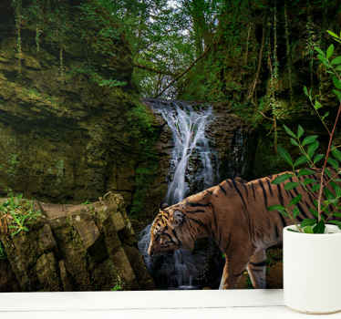 Fototapeta tropikalna dżungla z tygrysem - TenStickers