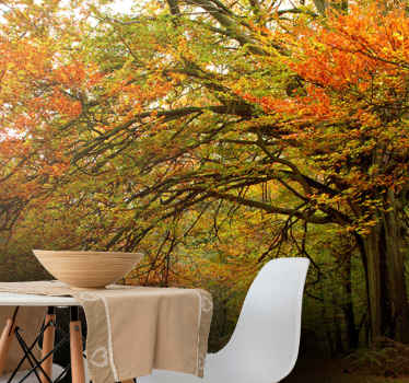 Fototapeta natura piękny las jesień - TenStickers