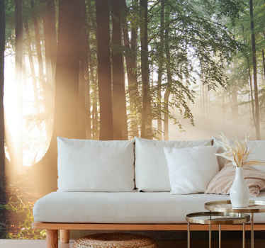 ösvény az erdőben természet falfestmény - TenStickers