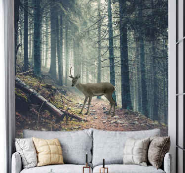 Fototapete Natur Weg im wald mit einem reh - TenStickers