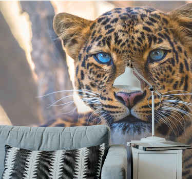 Graži patelė tigras stebi tave sieninę tapetą - „Tenstickers“