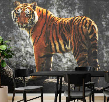 Tiger med foss bak fototapet dyr - Tenstickers