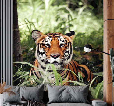 당신을보고있는 귀여운 호랑이 벽화 - TenStickers