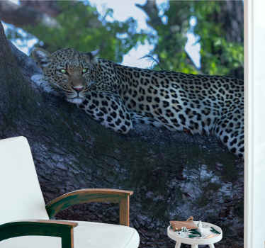 Fototapete Tiere leopard ruht sich bequem aus - TenStickers