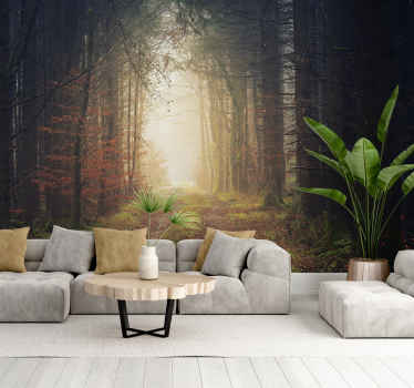 Fotomural bosque camino de otoño - TenVinilo