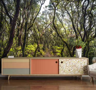 Fotomural bosque Anaga Tenerife - TenVinilo