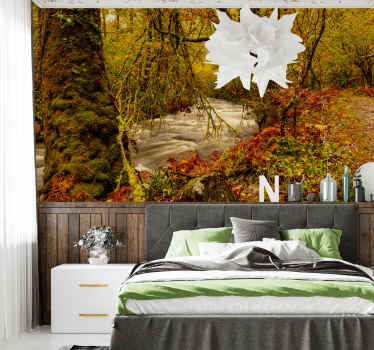 Fotomural bosque Muniellos - TenVinilo