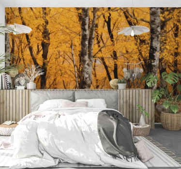 Fotomural de bosque Ordesa - TenVinilo