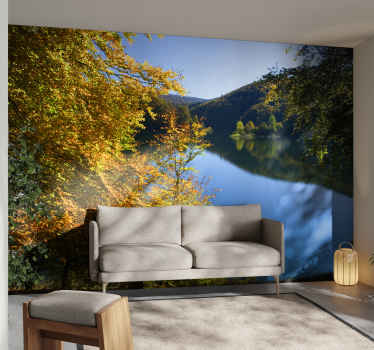 Fotomural bosque Selva de Irati Navarra - TenVinilo