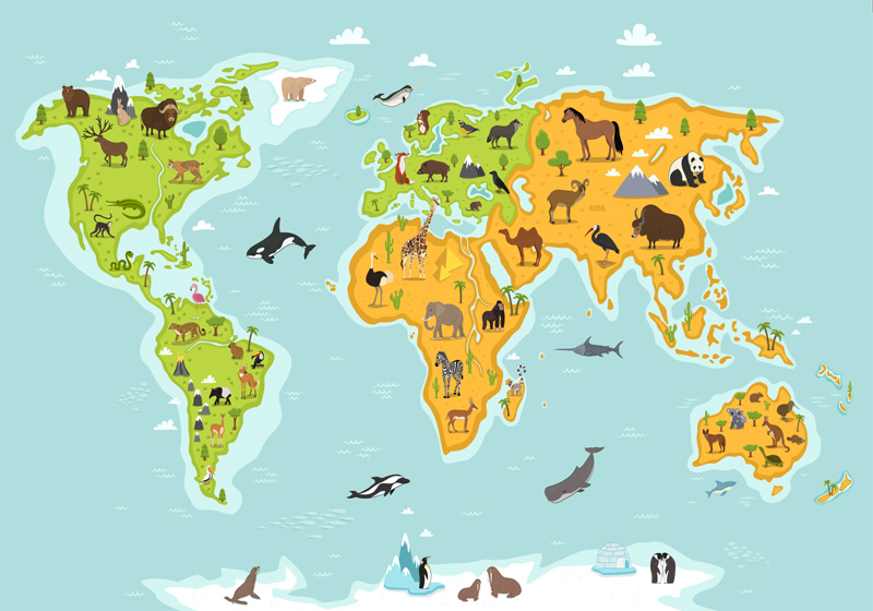 Animal world map wall mural - TenStickers