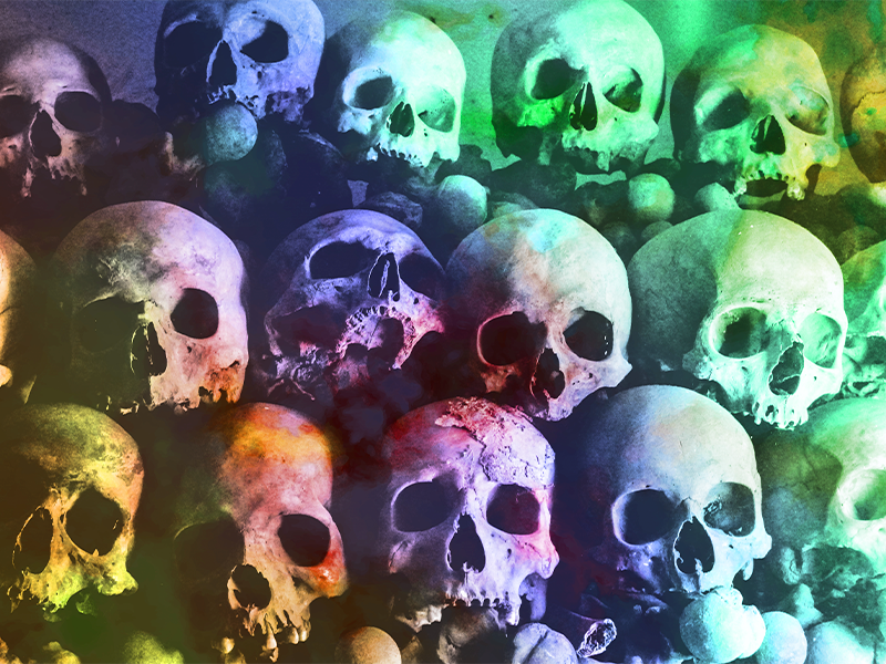 Amoled Skull Wallpaper Download  MOONAZ